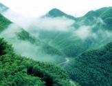 龙王山,竹博园,中南百草原二日游