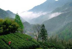 浙北第一高山村，记忆中的九亩田！