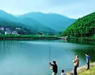 来安吉体验各种乡村活动吧！