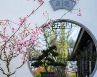 安吉的文化之旅，还有巴西烤肉等待着你的到来