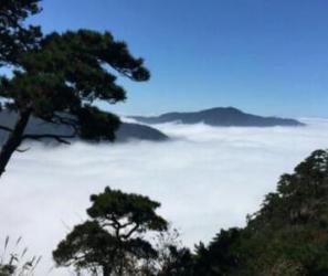 远离城市，去山居体会宁静