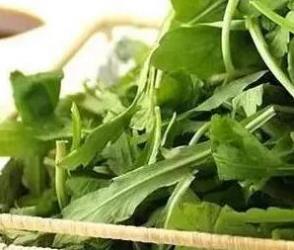 不是所有野菜都能吃，这些要注意！