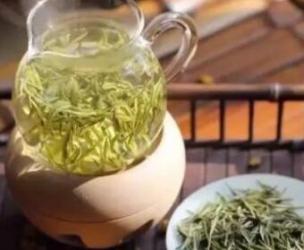茶中精品——安吉白茶清新淡雅