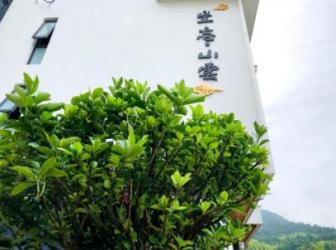 坐忘山云民宿