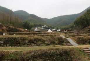 安吉“四普新文物之树景坞梯田