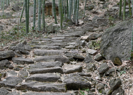 安吉“四普新文物之南坞山古道