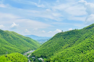 卧虎藏龙处，安吉竹海风