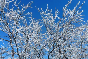 浙北第一峰徒步指南：安吉龙王山路线、装备与安全全攻略