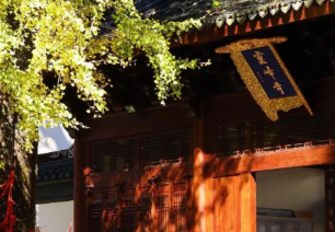藏在安吉的初冬秘境！灵峰寺这抹金黄别错过