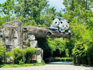 暖冬游安吉｜竹博园必玩清单，从竹林到熊猫馆全解锁