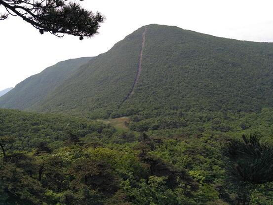 远看青山
