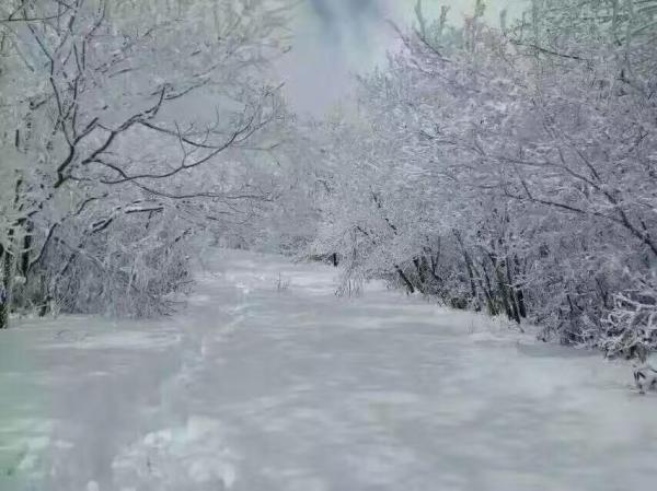 雪中马路