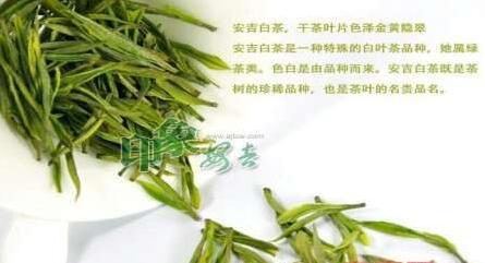 安吉特产白茶