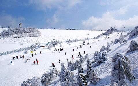 滑雪场全景