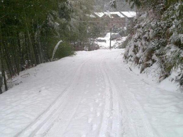 铺满路面的雪