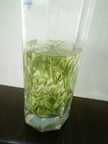 泡好的茶