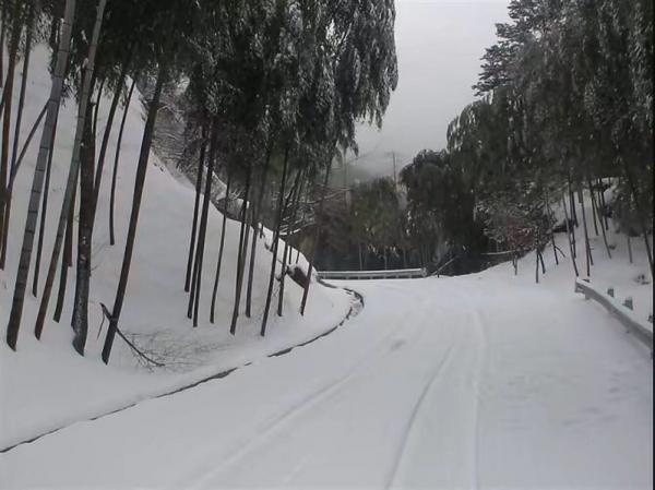 冬天的雪景