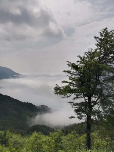 山中景色