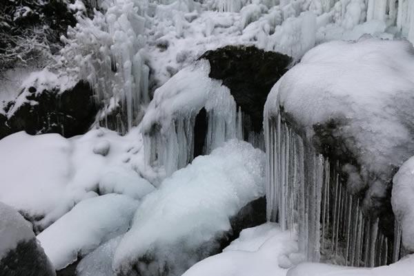 白雪