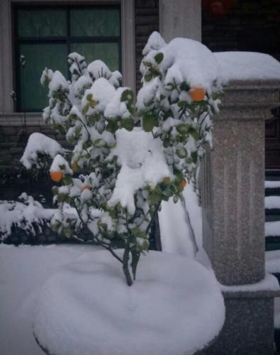 厚厚的雪