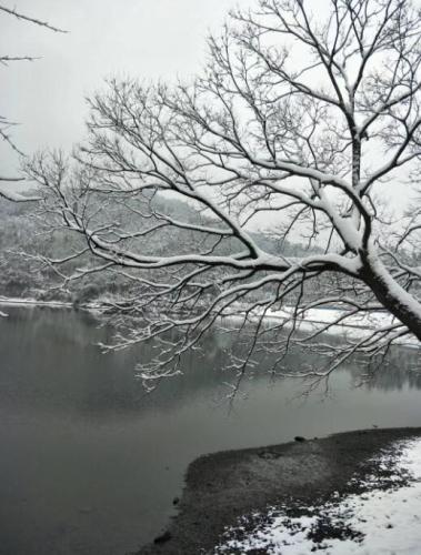 美丽雪景