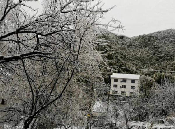 雪中的百翠山