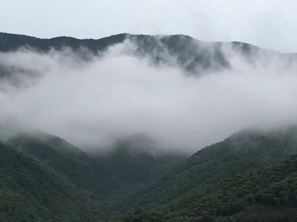 宛如仙境