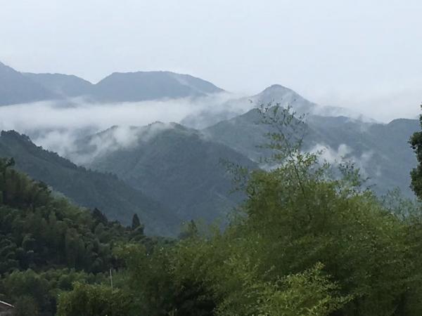 云雾缭绕