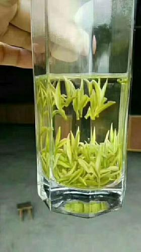 准备喝茶咯
