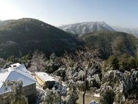 雪景