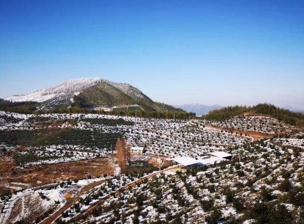 漂亮的雪景