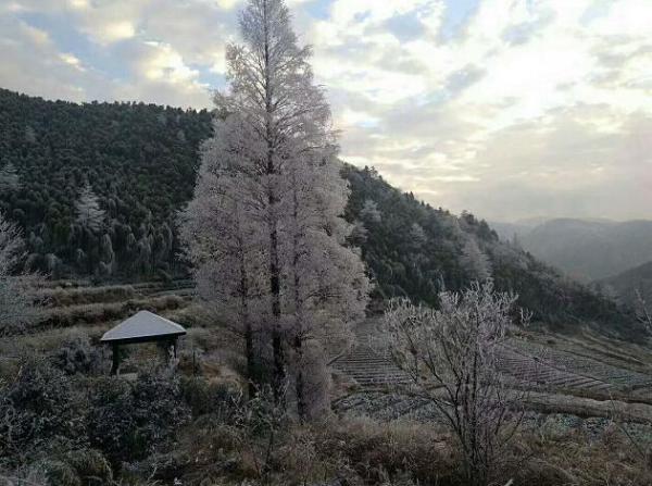 唯美的雪景