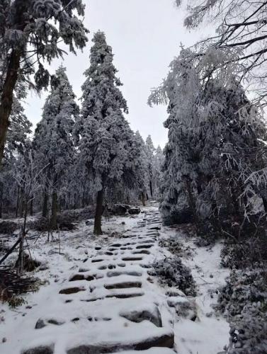 漂亮的雪景