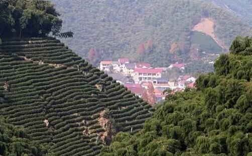山顶上的风景