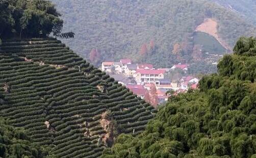 山顶上的风景