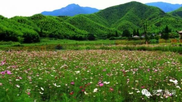 美丽的风景
