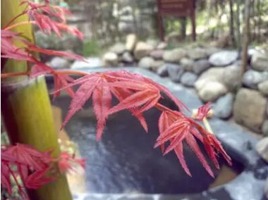 汤泉