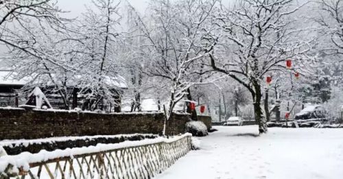 报福镇雪景