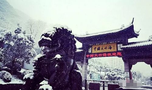 雪中的大竹海
