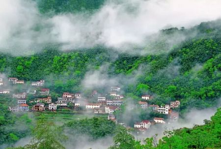 森林风景