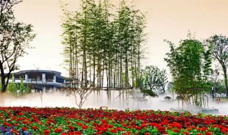 竹海风景