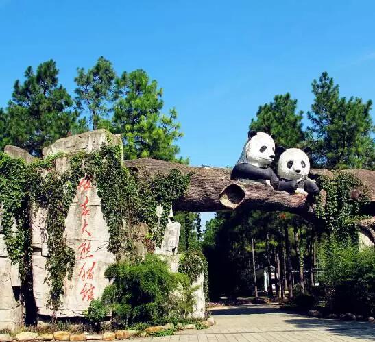 熊猫乐园