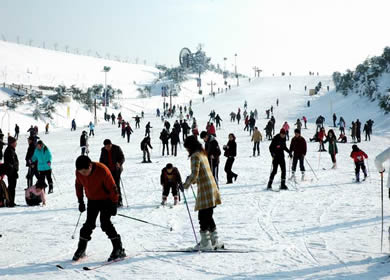 好多人在滑雪