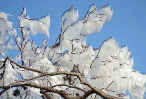 冬天雪景