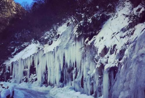 山中雪景