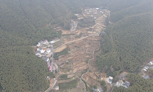树景坞梯田