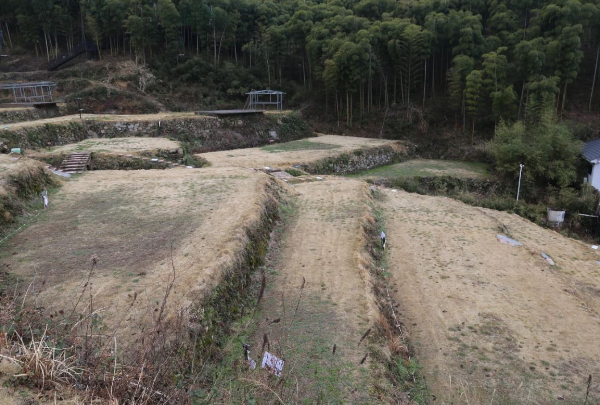 安吉的梯田