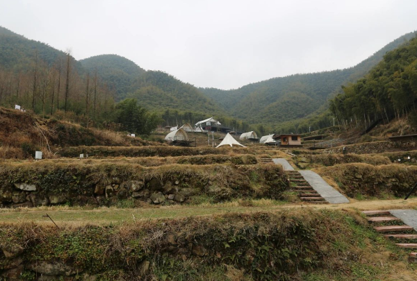 梯田近景