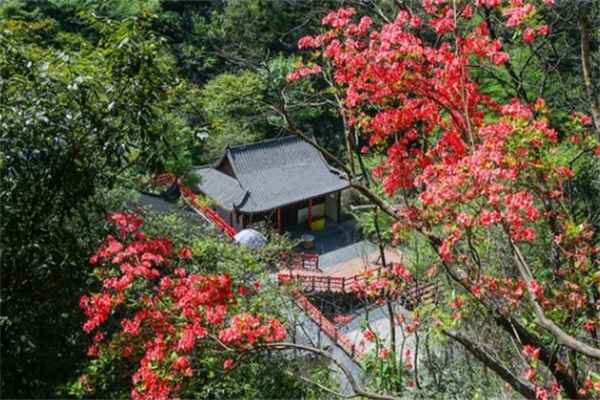红林寺